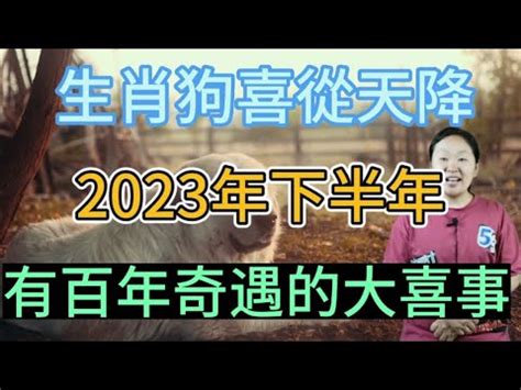 2023屬狗買房|【屬狗適合居住什麼風水】屬狗人買房有哪些風水講究 